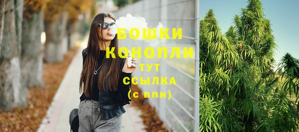 тгк Костерёво
