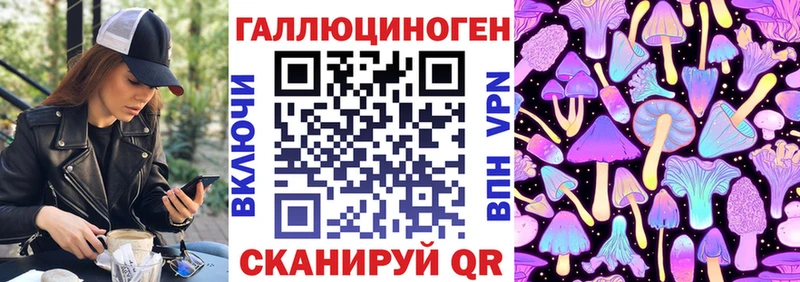 Галлюциногенные грибы Psilocybine cubensis  shop клад  Суворов  кракен сайт 